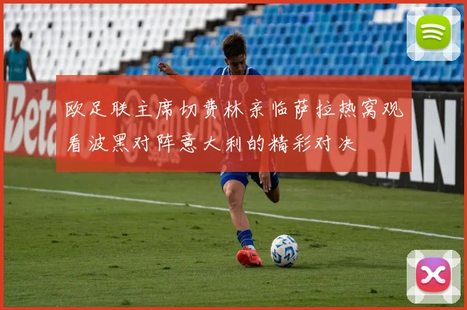 欧足联主席切费林亲临萨拉热窝观看波黑对阵意大利的精彩对决
